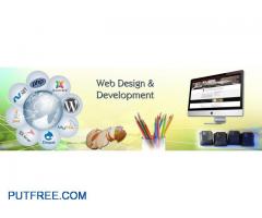 Freelance Web Developer & Designer