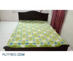 Queen Size double cot with mattress