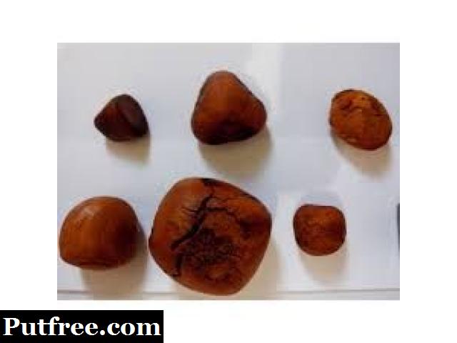 Universal supplies of COW / OX Gallstones-for-sale.