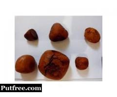 Universal supplies of COW / OX Gallstones-for-sale.