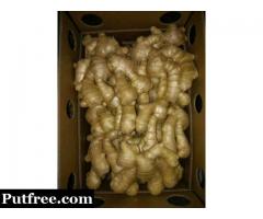 Most popular Wholesale Best quality organic ginger for sale