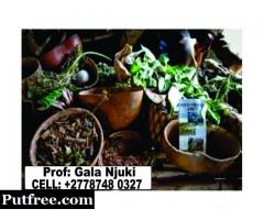 powerful traditional healer and spells caster call prof gala njuki