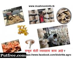 Mushroom training in Maharashtra