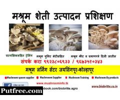 Buy Mushroom spawn at best price of Rs 100 /kilogram