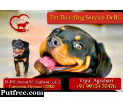 Best Pet Care And Dog Care By Happy Pettings