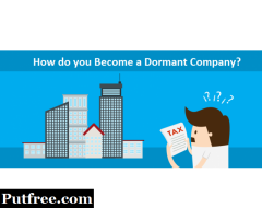 How do you become a dormant company?