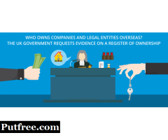 What are the Overseas company entities?