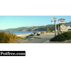 Contact us Foreshore Motor Lodge for Accommodation Lower Hutt Wellington