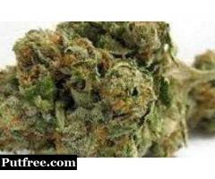 Cheap Weed Online