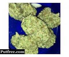 Top shelf CBD medical marijuana