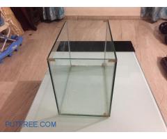 Glass fish tank aquarium