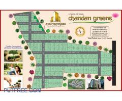FARM PLOTS FOR SALE  AT CHEVELLA CHANDAN GREENS BY AVM VENTURES