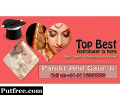 Indian top Specialist Top Best Astrologer Anil Gaur Ji