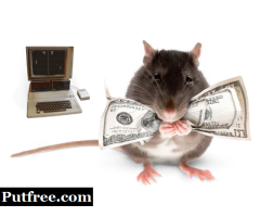 Money Spell Magic Wallet & Rats To Bring You Money In Your House Call +27710732372 Tembisa