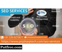 Get On-Page Search Engine Optimization Services by PNJ Sharptech