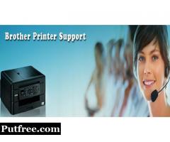 Brother Printer Support Number