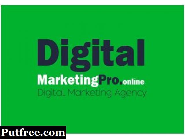 full Digital Marketing Services & Training
