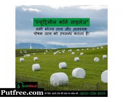 Silage Suppliers in Punjab