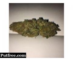 Weed For Sale in USA (+1 (559) 598-7064)