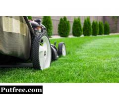 Lawn Care Service St Catharines