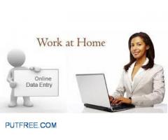 online or offline data entry jobs