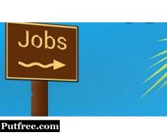 Job Consultancy in Surat | Recruitment Agency in Surat