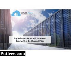 Buy Dedicated Server with Unmetered Bandwidth at the Cheapest Price