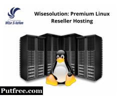 Wisesolution: Premium Linux Reseller Hosting