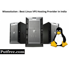 Wisesolution: Best Linux VPS Hosting Provider
