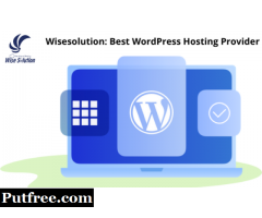 Wisesolution: Best WordPress Hosting Provider