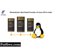Wisesolution: Best Rated Provider of Linux VPS In India
