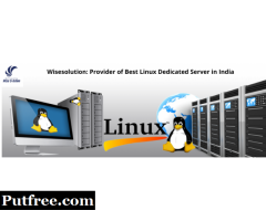 Wisesolution: Provider of Best Linux Dedicated Server in India