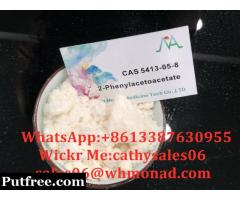 "CAS 5413-05-8,Ethyl 2-Phenylacetoacetate，BMK powder,New BMK for sale,100% safe delivery "