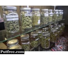 Can dispensaries ship out of state