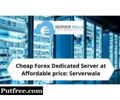 Cheap Forex Dedicated Server at Affordable price: Serverwala
