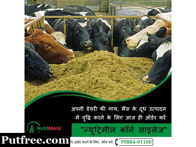 Silage Agro Private Limited