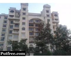 Spacious 3Bhk+ Sq 2362sqft Stellar Icon Apartments, Greater Noida For Rent