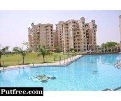 Spacious 3Bhk+ Sq 2362sqft Stellar Icon Apartments, Greater Noida For Rent