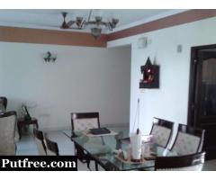 A Class Fully Furnished 3 Bhk+sq+private Terrace In ATS Greens Paradiso, 1st Floor, Greater Noida