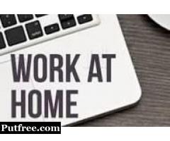 job with no investment - online work