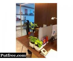 Indoor and Outdoor Plants on Rent Services in Gurgaon