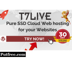 Web Hosting Services - T7LIVE