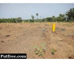 plot for sale in kanjikode. 80% loan available