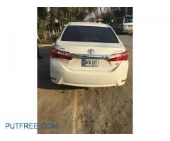 Corolla 2017 For Rent