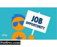 Male& Female Candidates are required for Online Home Based job