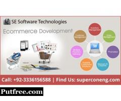 Affordable Professional Ecommerce Website Design