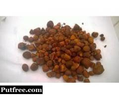Buy Cow Gallstones, Ox Cow Gallstones, Cow Gallstones for sale
