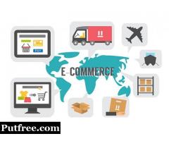 Ecommerce Web Development Company in India