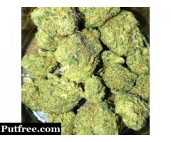 High Grade Medical Marijuana for sale