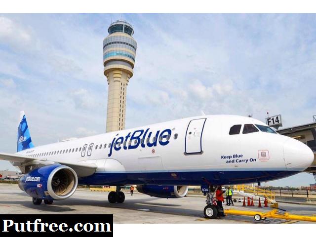 Jetblue Airlines Contact Number Marina del Rey - Put Free Ads | Free Classified Ads